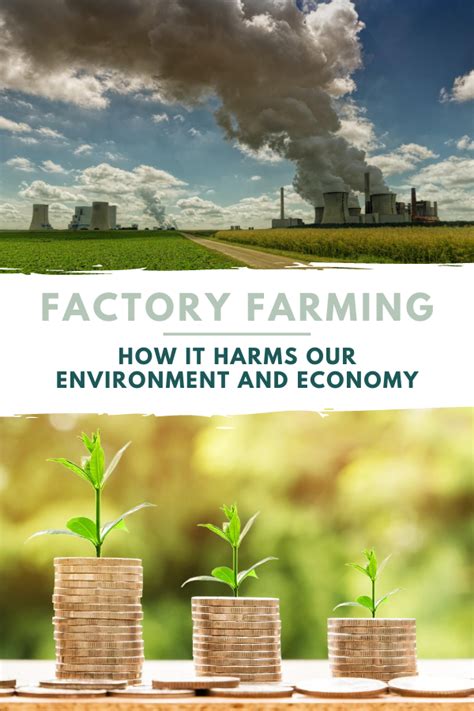 why are factory farms bad for the environment